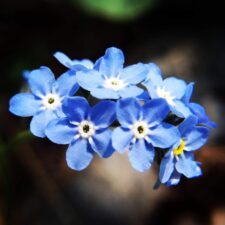 6EAF0DE9-764B-495C-A3A6-20FD2259C8E8