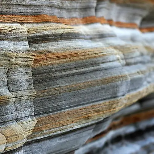 bio-circle bio-circle