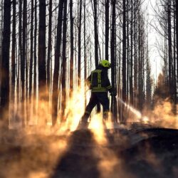 end-times-pedagogy-button